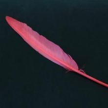 Cerise Goose Wing Feather